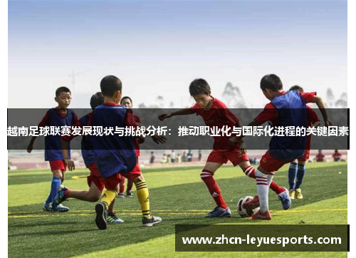 越南足球联赛发展现状与挑战分析：推动职业化与国际化进程的关键因素