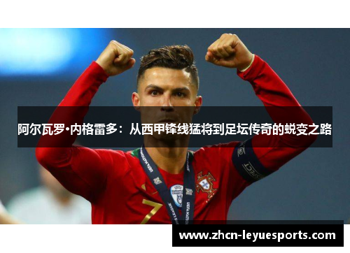 阿尔瓦罗·内格雷多:从西甲锋线猛将到足坛传奇的蜕变之路 阿尔瓦罗·内格雷多:从西甲锋线猛将到足坛传奇的蜕变之路