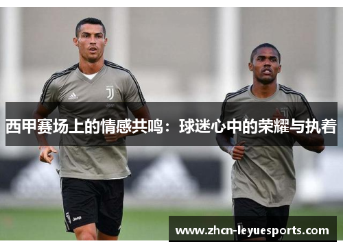 西甲赛场上的情感共鸣:球迷心中的荣耀与执着 西甲赛场上的情感共鸣:球迷心中的荣耀与执着
