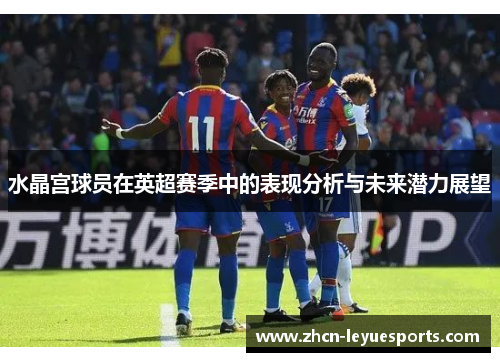 水晶宫球员在英超赛季中的表现分析与未来潜力展望