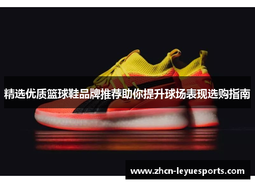 精选优质篮球鞋品牌推荐助你提升球场表现选购指南
