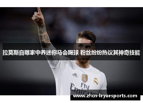 拉莫斯自曝家中养迷你马会踢球 粉丝纷纷热议其神奇技能 拉莫斯自曝家中养迷你马会踢球 粉丝纷纷热议其神奇技能