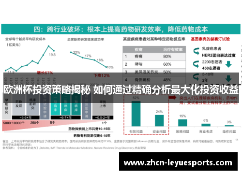 欧洲杯投资策略揭秘 如何通过精确分析最大化投资收益