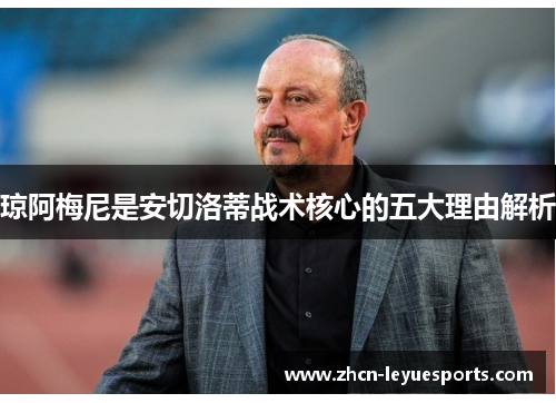 琼阿梅尼是安切洛蒂战术核心的五大理由解析