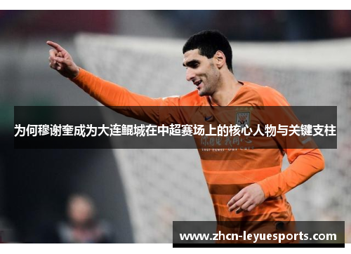 为何穆谢奎成为大连鲲城在中超赛场上的核心人物与关键支柱 为何穆谢奎成为大连鲲城在中超赛场上的核心人物与关键支柱