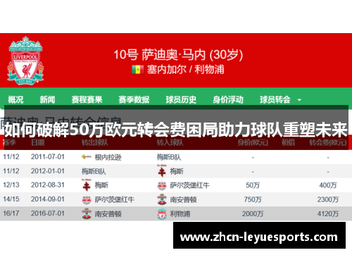 如何破解50万欧元转会费困局助力球队重塑未来 如何破解50万欧元转会费困局助力球队重塑未来