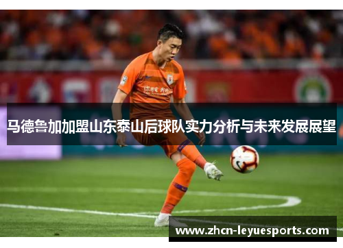 马德鲁加加盟山东泰山后球队实力分析与未来发展展望 马德鲁加加盟山东泰山后球队实力分析与未来发展展望