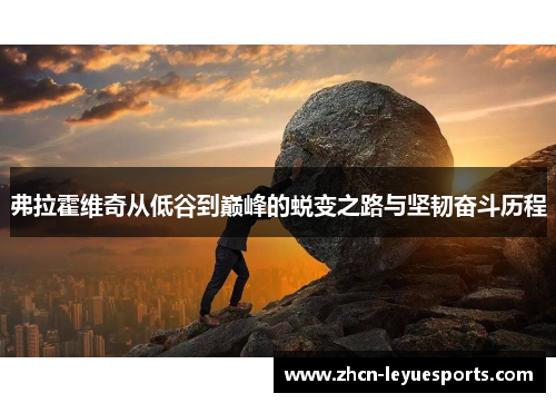 弗拉霍维奇从低谷到巅峰的蜕变之路与坚韧奋斗历程